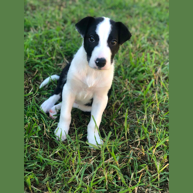 Photo of Rylee