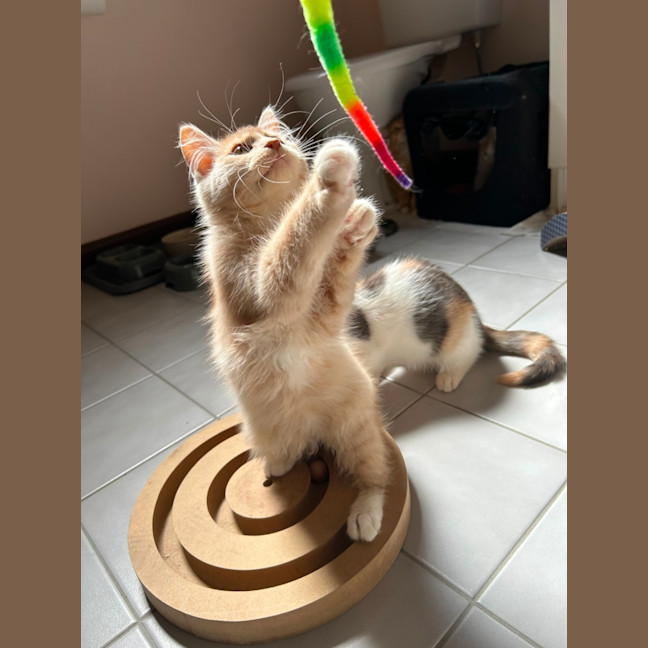 Photo of Trevor 💙