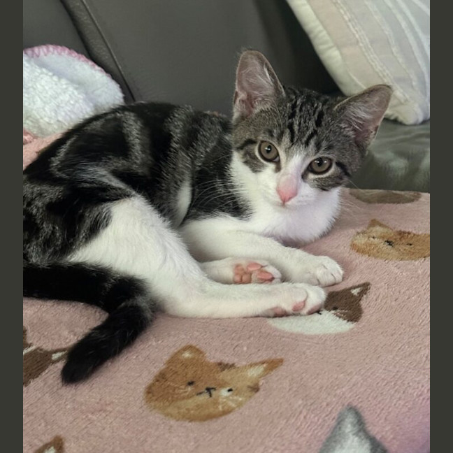 Photo of Tabitha
