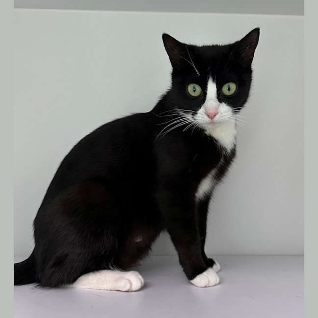 Photo of Peppermint Patty