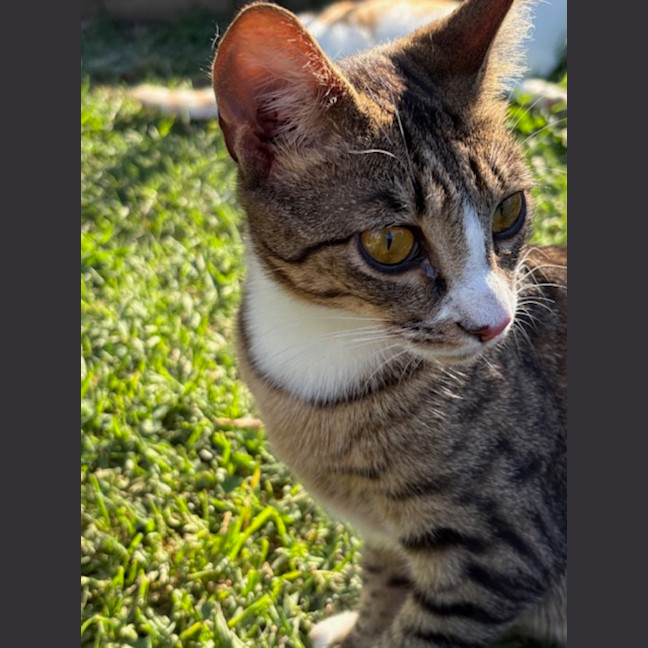 Photo of Milly