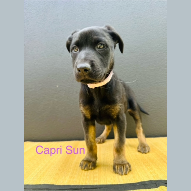 Photo of Uk Beverages Litter