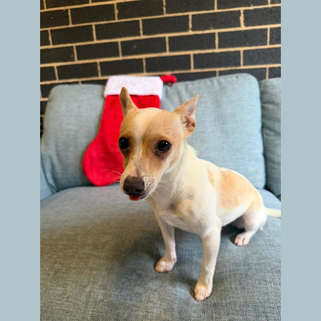 Photo of Miss Stevie