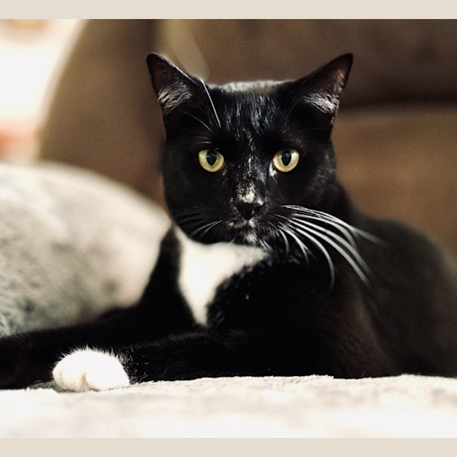 Photo of Wayne