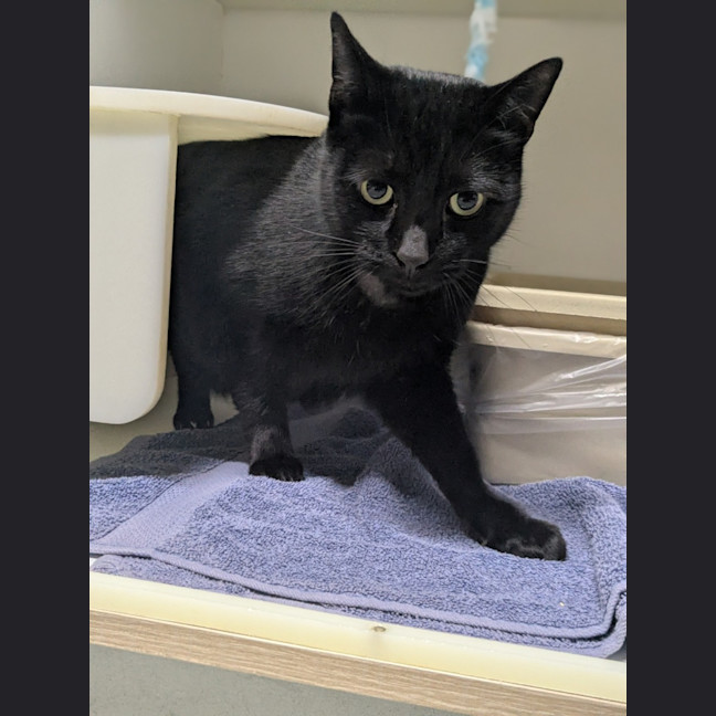 Photo of 🍤 Luca 6216 🍤