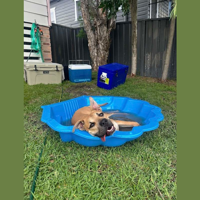 Photo of Sundae