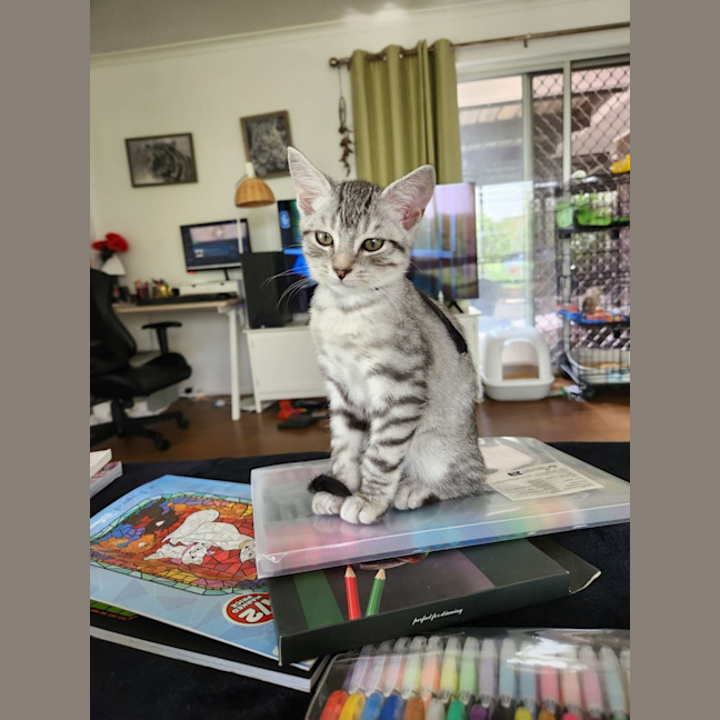 Photo of Jasper