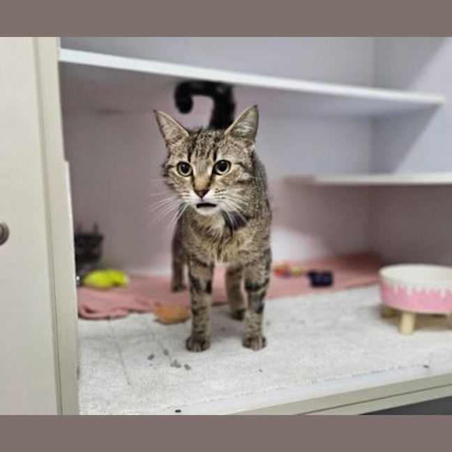 Photo of Eggnogatha Christie