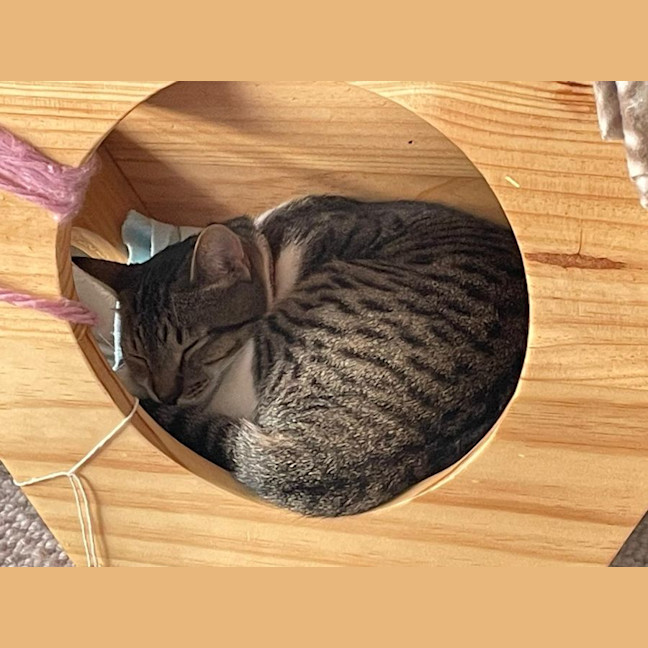 Photo of Winnie