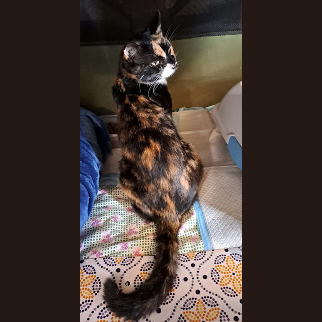 Photo of Agnes
