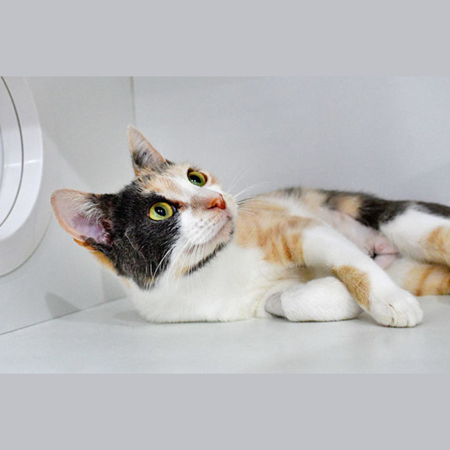 Photo of Catalie Portman