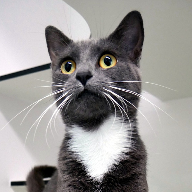 Photo of Zoe Rsta014520