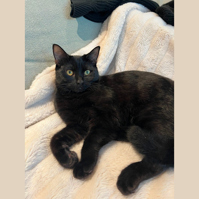 Photo of Ralph