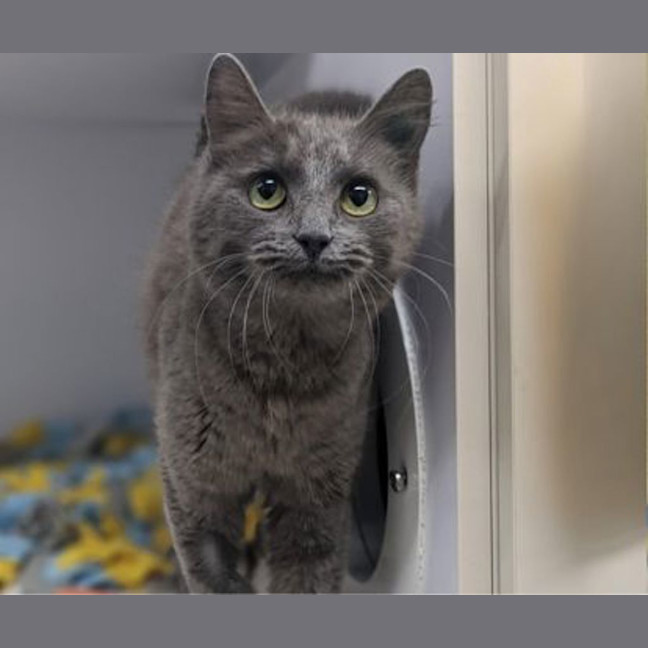 Photo of Bumble