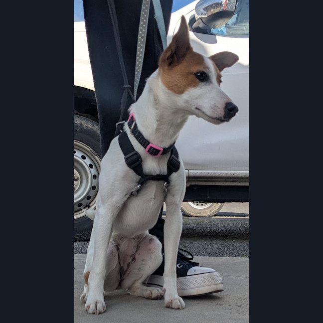 Photo of Nellie