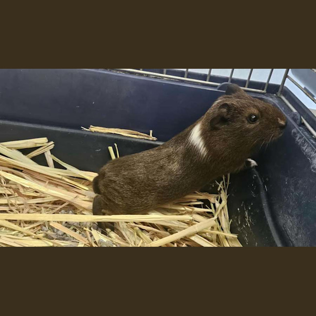 Photo of Rissie & Bobbie