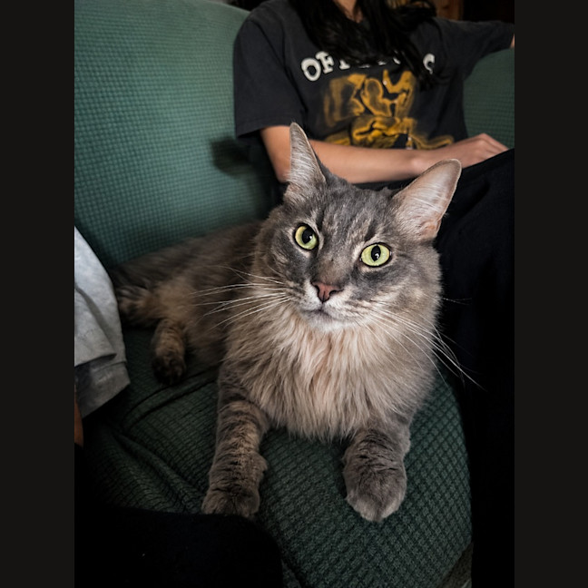 Photo of Pierre