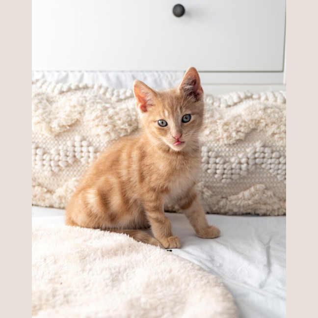 Photo of Bingo