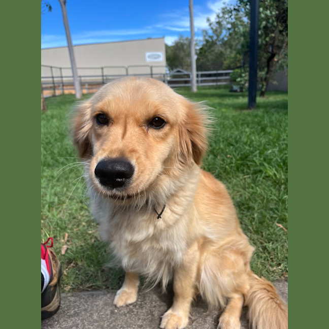 Photo of Maggie