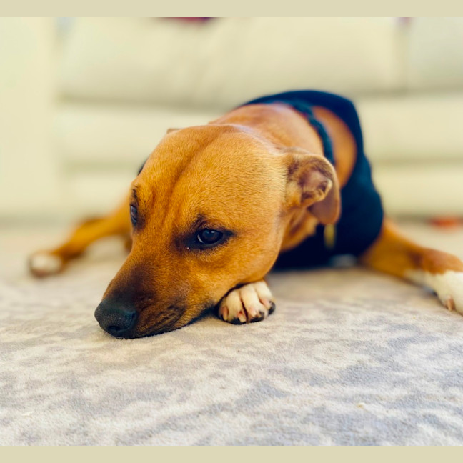 Photo of Rinleigh