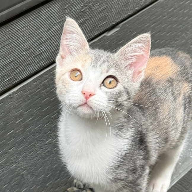 Photo of Georgia 🍒