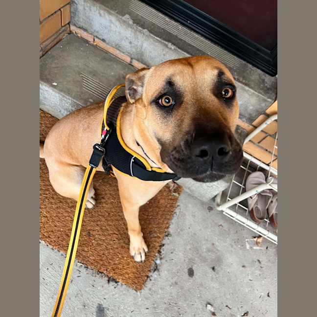 Photo of Maverick