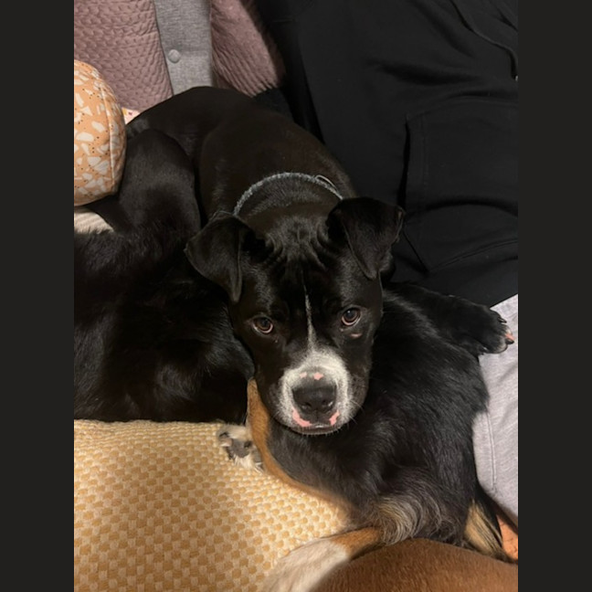 Photo of Harken