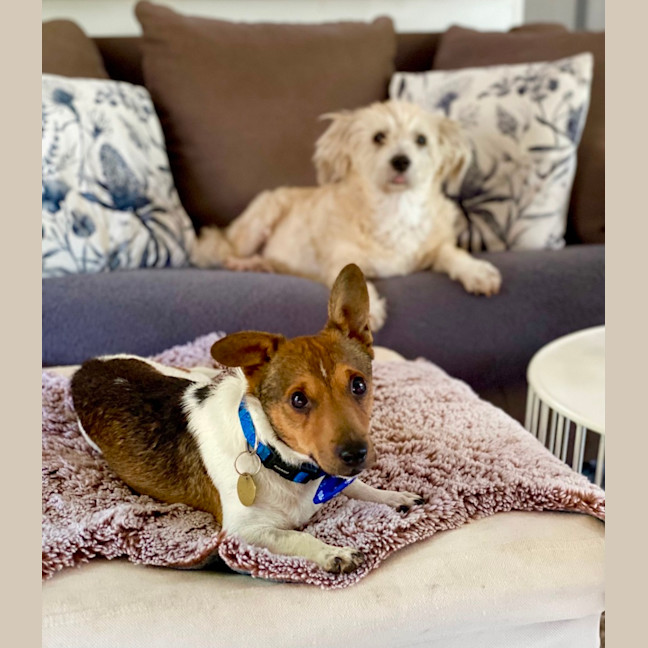 Photo of Kevin Arnold