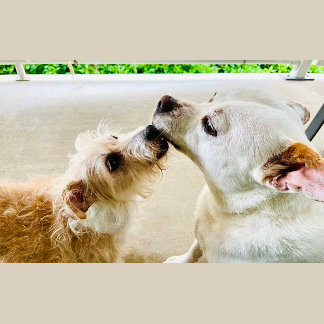 Photo of Walter And Abby