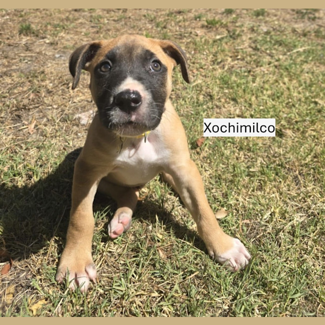 Photo of ⛰️ Coromandel's Litter (Part 2) ⛰️
