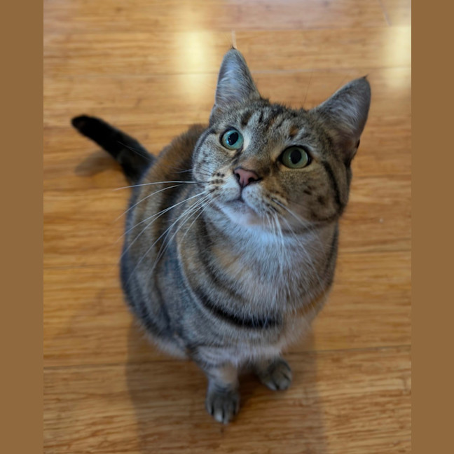 Photo of Penny