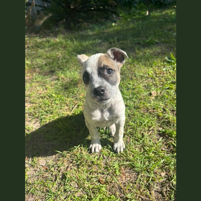 Photo of Preslee