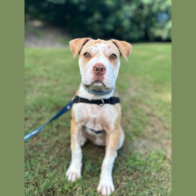 Photo of Milly
