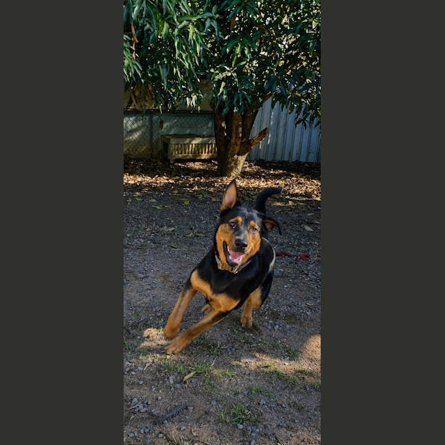 Photo of Bundee