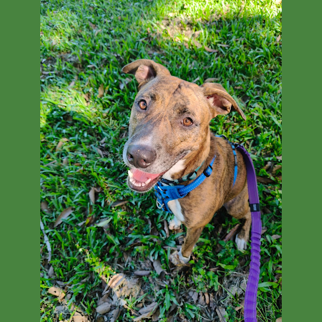 Photo of Rasta