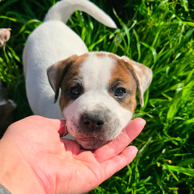 Photo of Beanie Baby