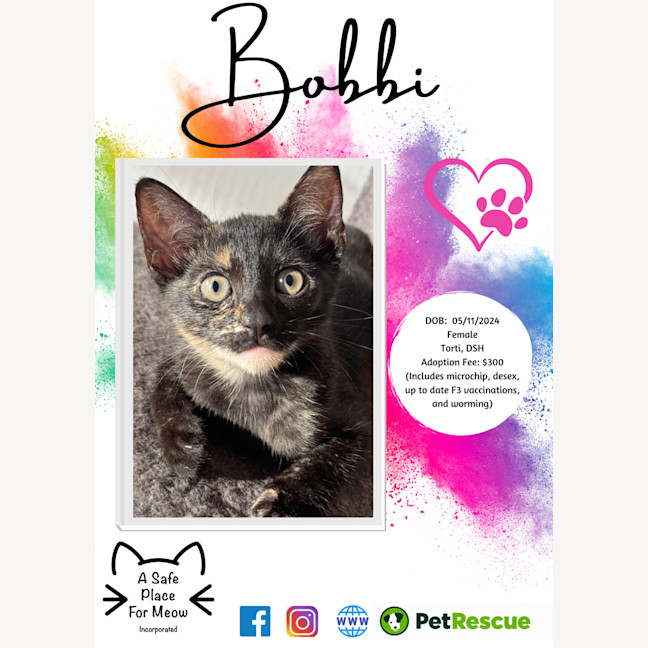 Photo of Bobbi