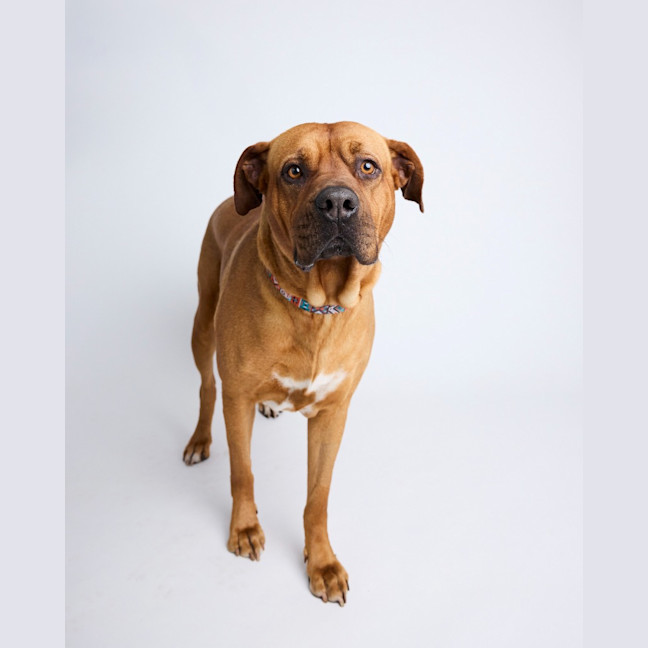 Photo of Zuri