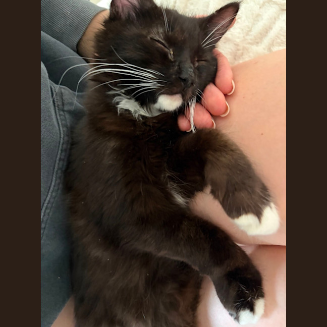 Photo of Buttons