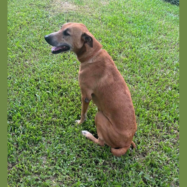 Photo of Delilah