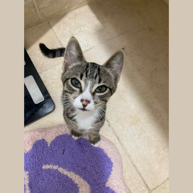 Photo of Your Uncle Kevin