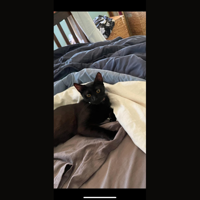 Photo of Shuri