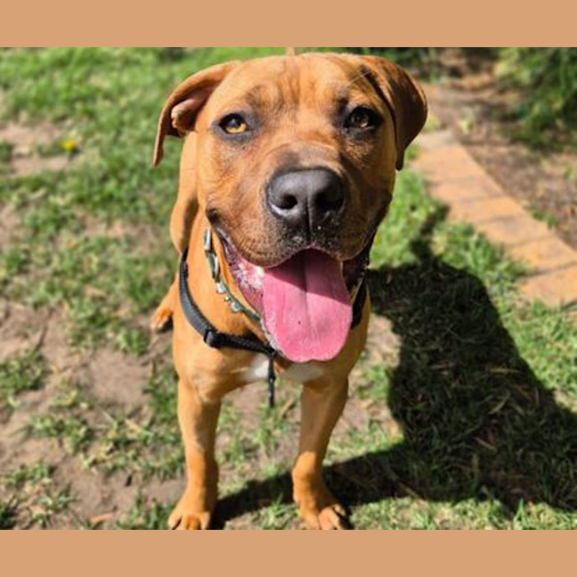 Photo of Rico 