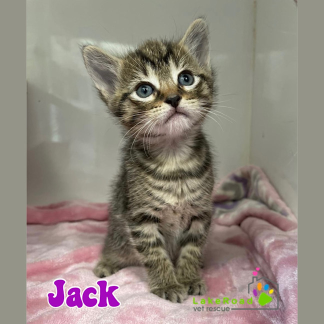 Photo of Jack