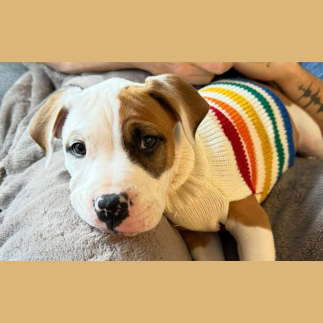 Photo of Benny