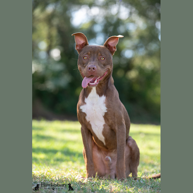 Photo of Jasper