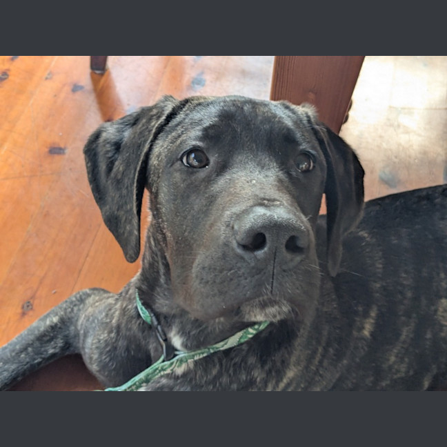 Photo of Leonard