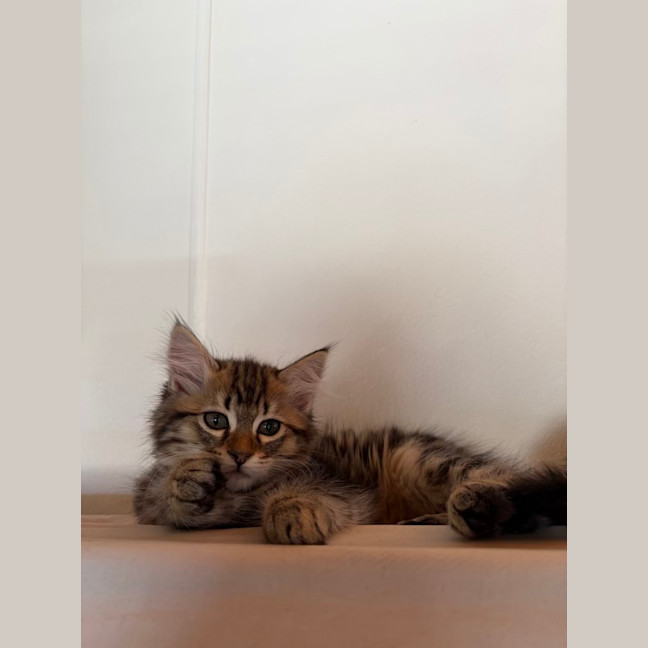Photo of Samantha