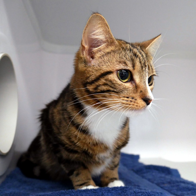 Photo of Lucky Sta013213