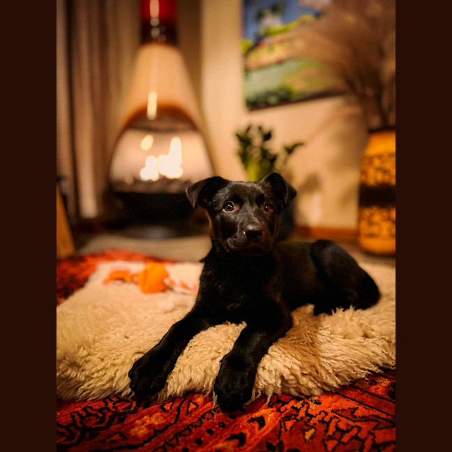 Photo of Yazmina